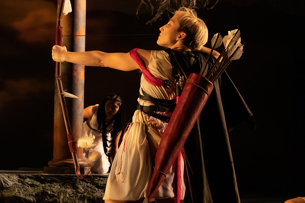 The Penelopiad | UCI 2020